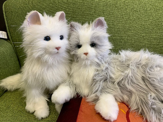 夢猫ロボット
