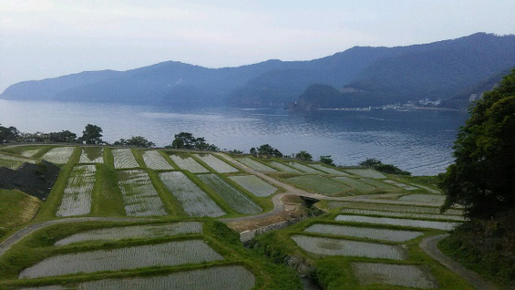 田烏の棚田（福井県小浜市）
