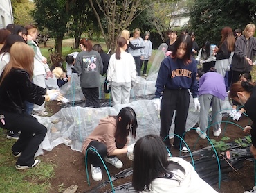 初めての野菜栽培!野菜の成長は自分の成長!?