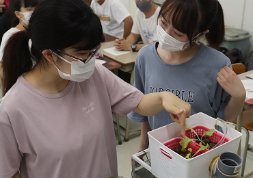 大学間連携　岐阜大学×菊池ゼミ